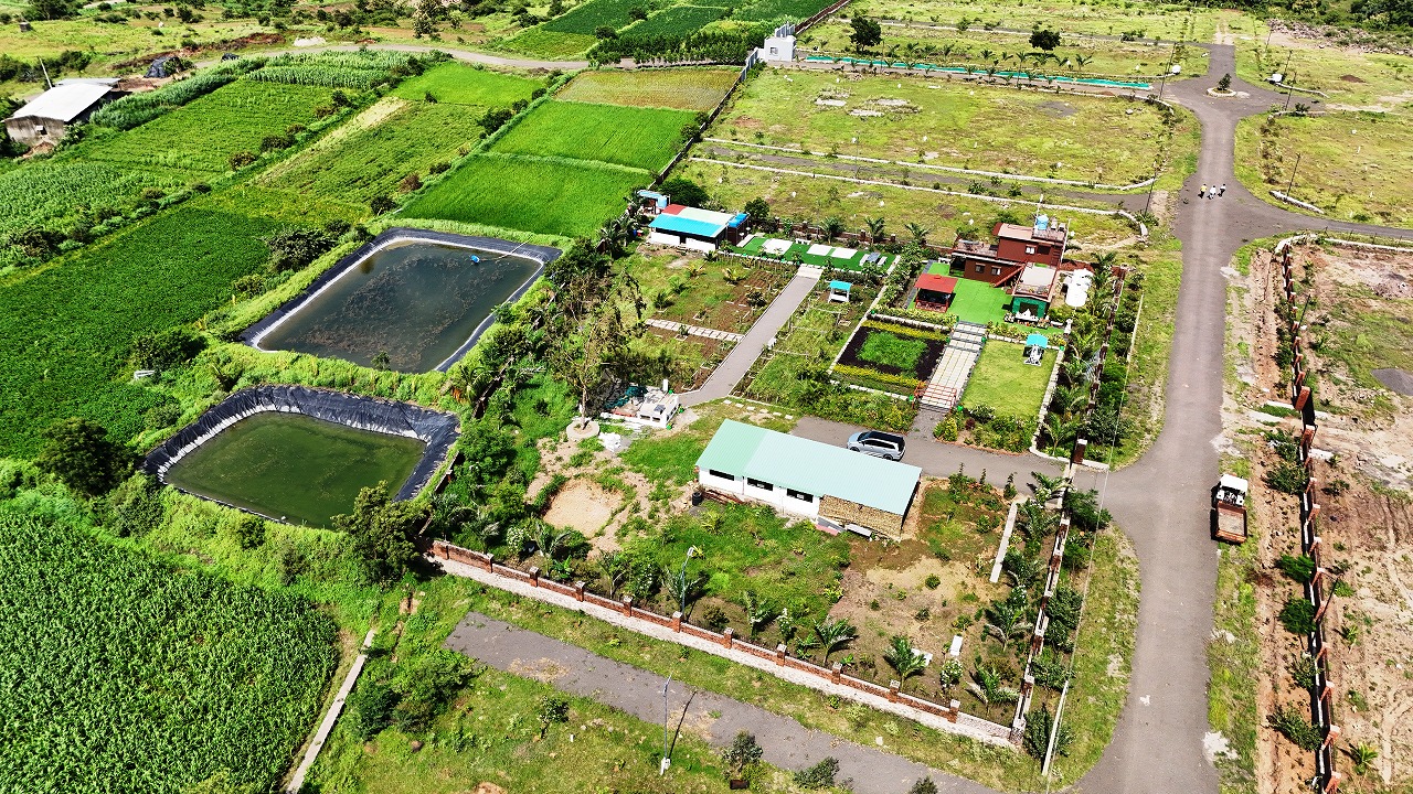 Escapade - Additional View 1